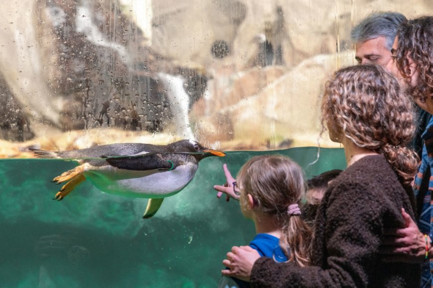 La stagione estiva entra nel vivo e il mondo AcquarioVillage propone un ventaglio di attività ed esperienze per coinvolgere il pubblico nei mesi più caldi