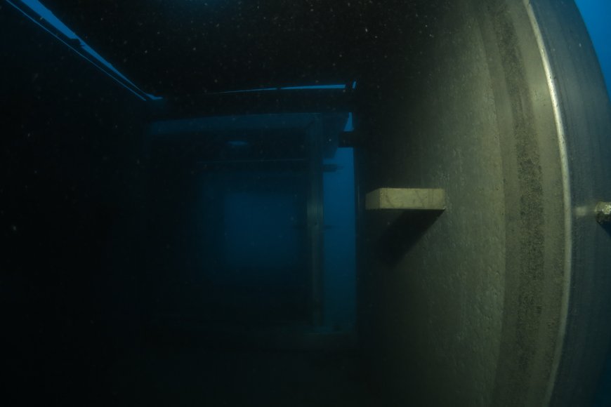 Isola Gallinara: in mare i primi moduli per il ripopolamento ittico