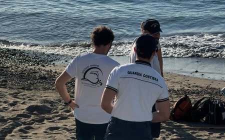 A San Lorenzo al Mare individuate le tracce di Caretta caretta presso la spiaggia di Baia delle Vele