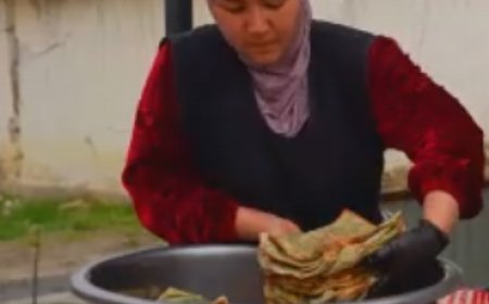 Dalle serre alle imprese familiari: l’imprenditorialità cambia la vita rurale