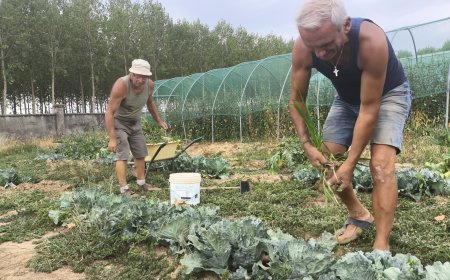 Cumiana. In cammino verso la Festa della Terra 2026