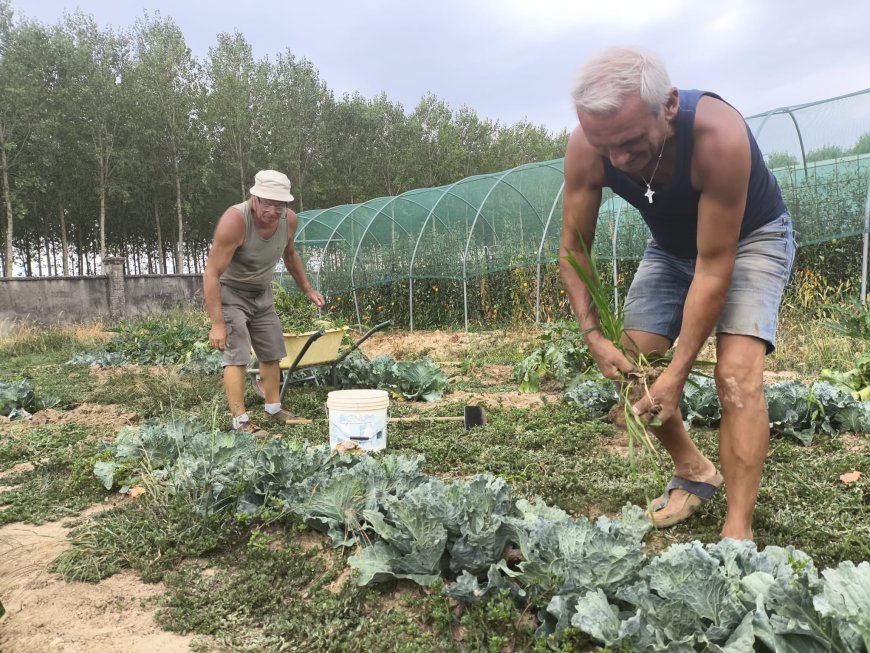 Cumiana. In cammino verso la Festa della Terra 2026