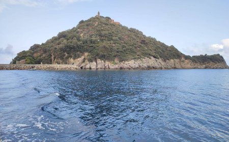 Regolamento per il porto rifugio della Gallinara: la Giunta avvia il percorso per una fruizione pubblica e  sostenibile