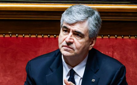 Mazzi: “Stagione positiva: cresciamo del +4,5%”