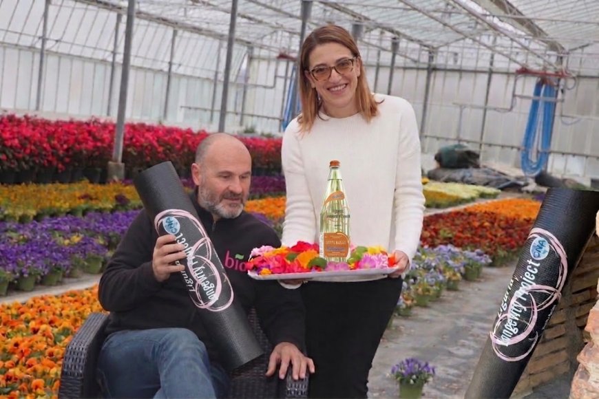 Vele d'Epoca: «Il Colletto», Tastee.it e Acqua Minerale Calizzano Fonti Bauda insieme per il «Liguria Longevity Project»