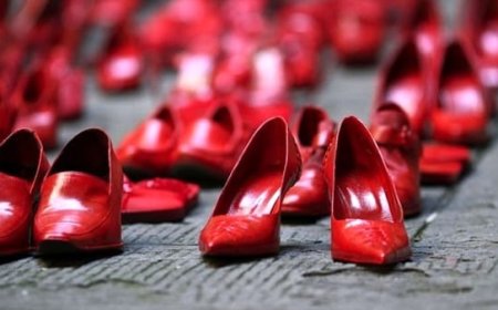 Violenza genere, 885 chiamate al 1522 in Liguria nel 2025