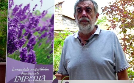 MareCultura 2026 profuma di lavanda: a Sanremo la presentazione di “Lavanda… Essenza di Liguria”