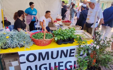 Laigueglia si veste a festa con la 44ª Fiera delle Tradizioni di San Matteo
