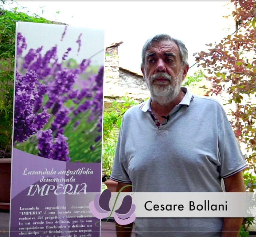MareCultura 2026 profuma di lavanda: a Sanremo la presentazione di “Lavanda… Essenza di Liguria”