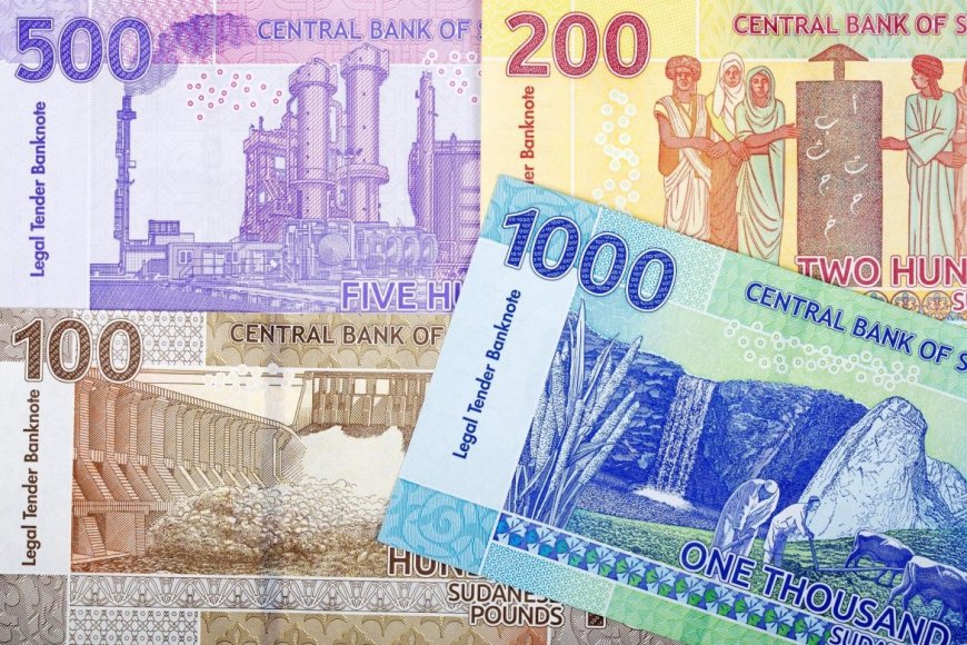 Il Sudan vuole cambiare moneta