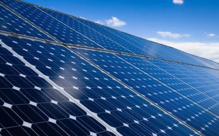 Fotovoltaico nel settore agroalimentare, webinar gratuito della Camera di Commercio:  focus sull’incentivo “Facility Parco Agrisolare” del PNRR
