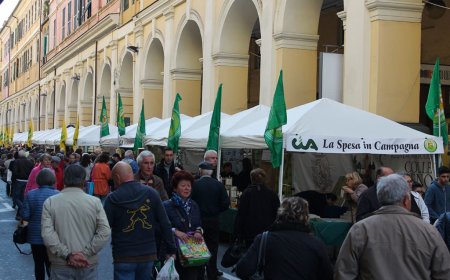 Torna a Imperia, dal 3 all’8 novembre 2026, OliOliva, la manifestazione dedicata alla valorizzazione dell’olio extravergine di oliva
